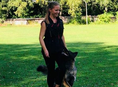 Hund der Zuchtstätte Von der Vilstalperle