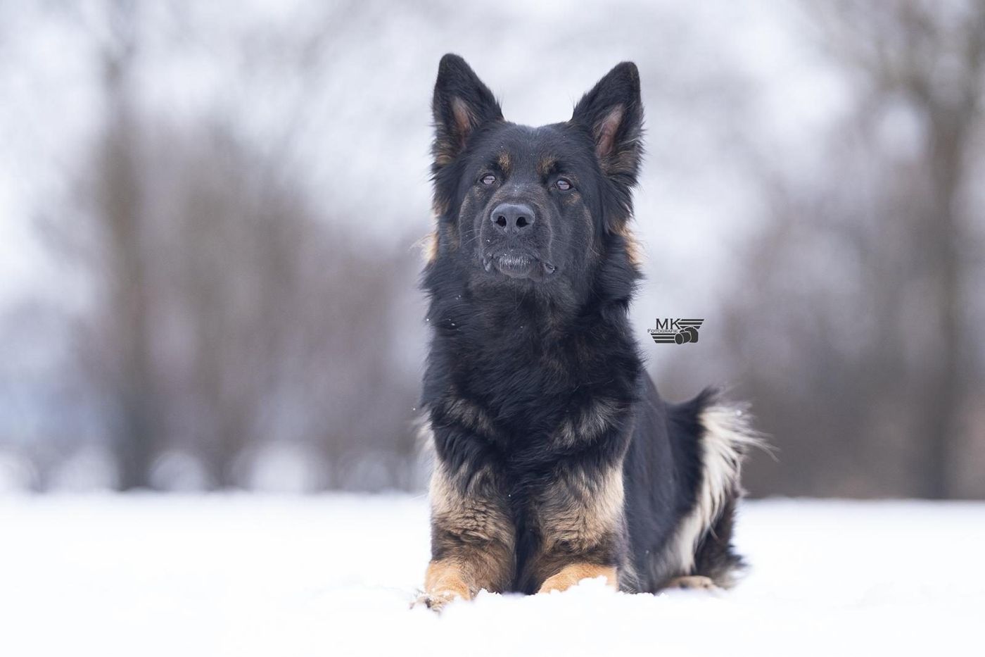Amalia von der Vilstalperle im Schnee