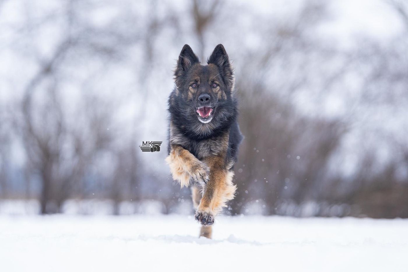 Arabella von den Schussengeistern rennt durch den Schnee
